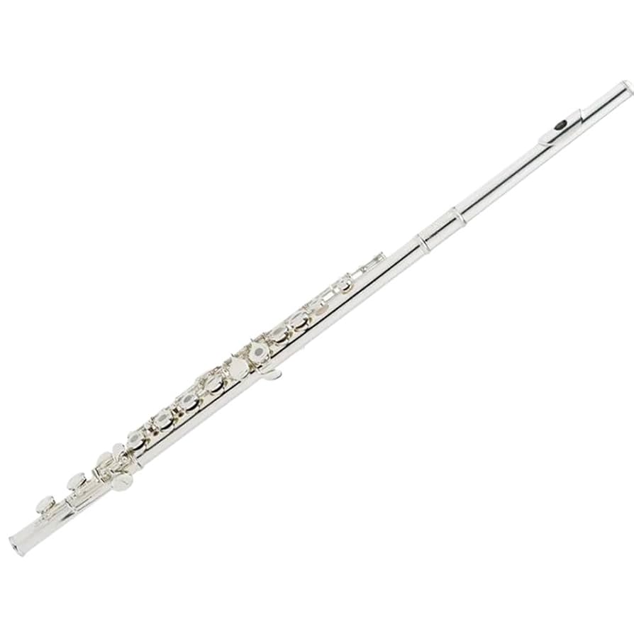 フルート本体 銀メッキ仕上げ 16キー Amazon | Eastar フルート 銀メッキ 16穴 リングキー Eメカ付き